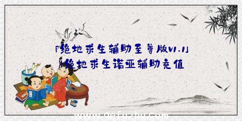 「绝地求生辅助至尊版v1.1」|绝地求生诺亚辅助充值